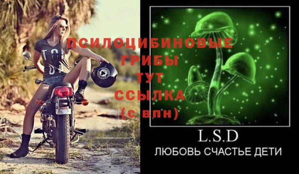 прущие крисы Яранск