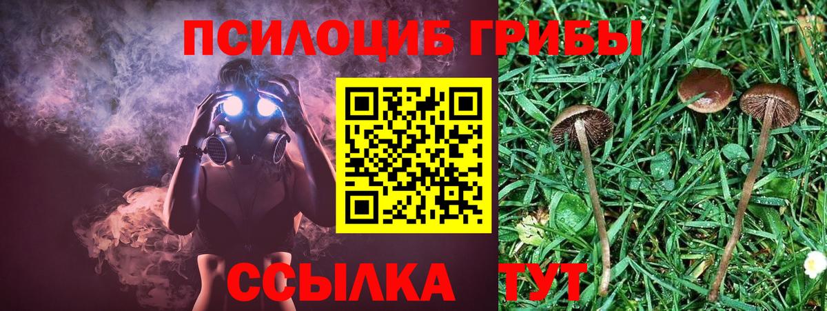 Псилоцибиновые грибы MAGIC MUSHROOMS  Псилоцибиновые грибы мухоморы  Вход с VPN  Люберцы 
